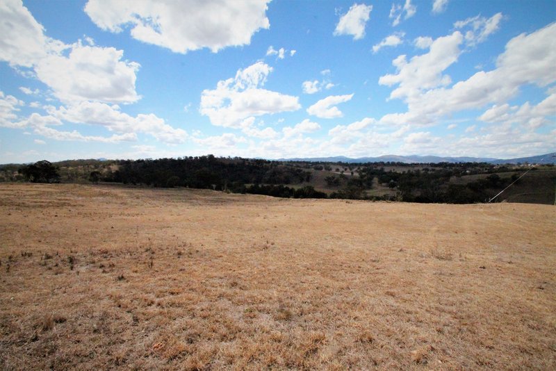 Photo - 110 Ray Carter Drive, Quirindi NSW 2343 - Image 10