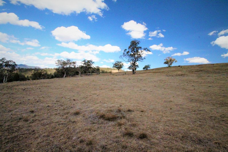 Photo - 110 Ray Carter Drive, Quirindi NSW 2343 - Image 11