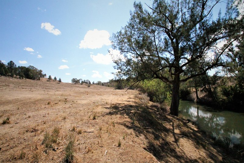 Photo - 110 Ray Carter Drive, Quirindi NSW 2343 - Image 12