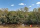 Photo - 110 River Road, Howard QLD 4659 - Image 3