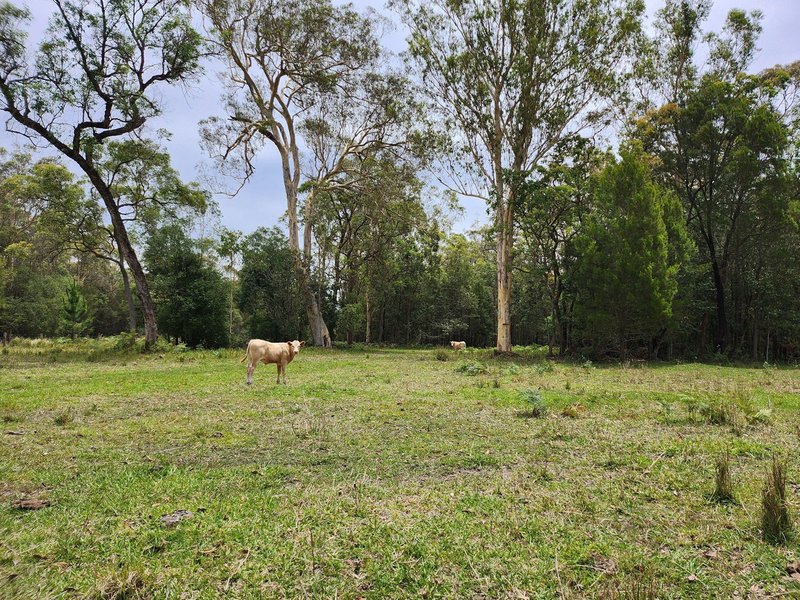 Photo - 110 Whittington Road, Wamuran QLD 4512 - Image 2