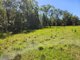 Photo - 110 Whittington Road, Wamuran QLD 4512 - Image 7