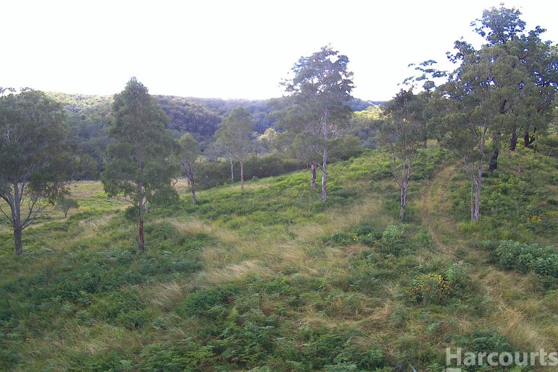 Photo - 1100 Dungay Creek Road, Wittitrin NSW 2440 - Image 17