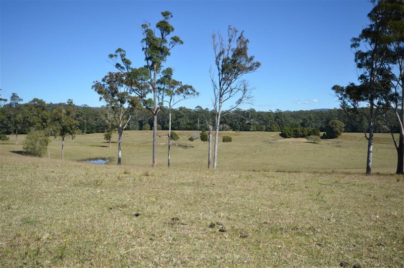 Photo - 1106 Bago Road, Herons Creek NSW 2443 - Image 13