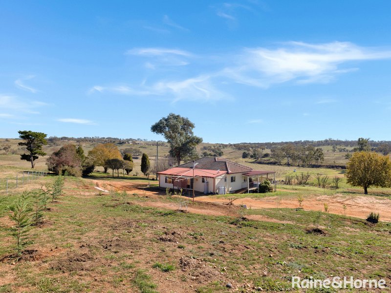 Photo - 1106 O'Connell Plains Road, The Lagoon NSW 2795 - Image 13