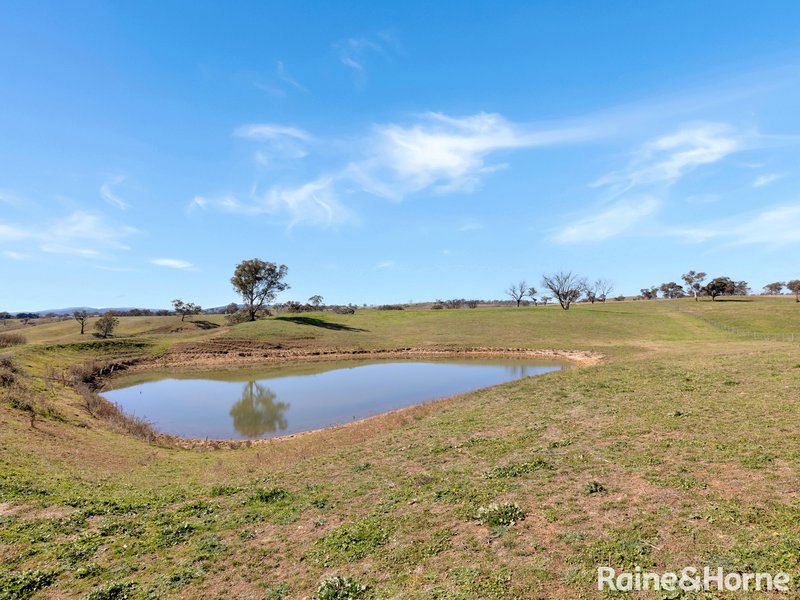 Photo - 1106 O'Connell Plains Road, The Lagoon NSW 2795 - Image 16