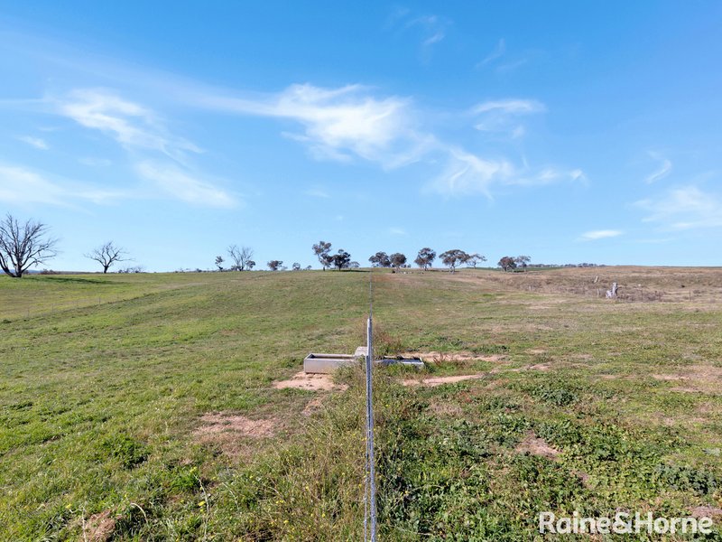 Photo - 1106 O'Connell Plains Road, The Lagoon NSW 2795 - Image 17