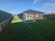 Photo - 111 Averys Lane, Heddon Greta NSW 2321 - Image 14