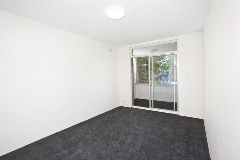 Photo - 1/11 Bowral Street, Kensington NSW 2033 - Image 6