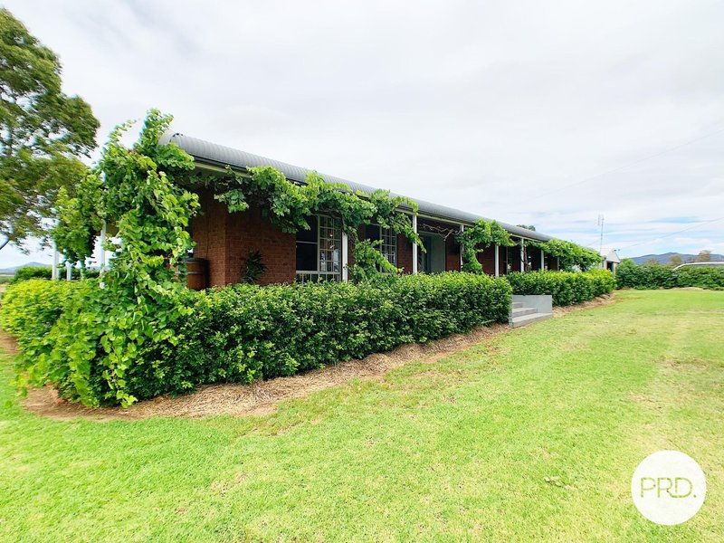 Photo - 111 Duri-Winton Road, Tamworth NSW 2340 - Image 16