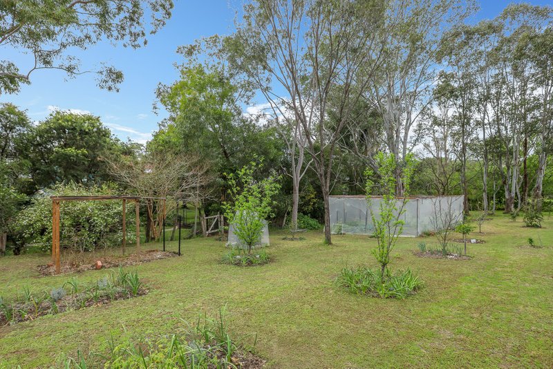 Photo - 111 Eloiza Street, Dungog NSW 2420 - Image 3