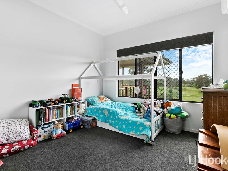 Photo - 111 Findlay Road, Grahams Creek QLD 4650 - Image 12