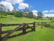 Photo - 111 Gladrose Crescent, Wongawallan QLD 4210 - Image 3