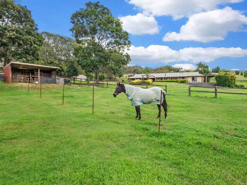 Photo - 111 Gladrose Crescent, Wongawallan QLD 4210 - Image 4