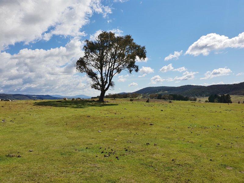 Photo - 111 Hereford Hall Road, Hereford Hall , Braidwood NSW 2622 - Image 2