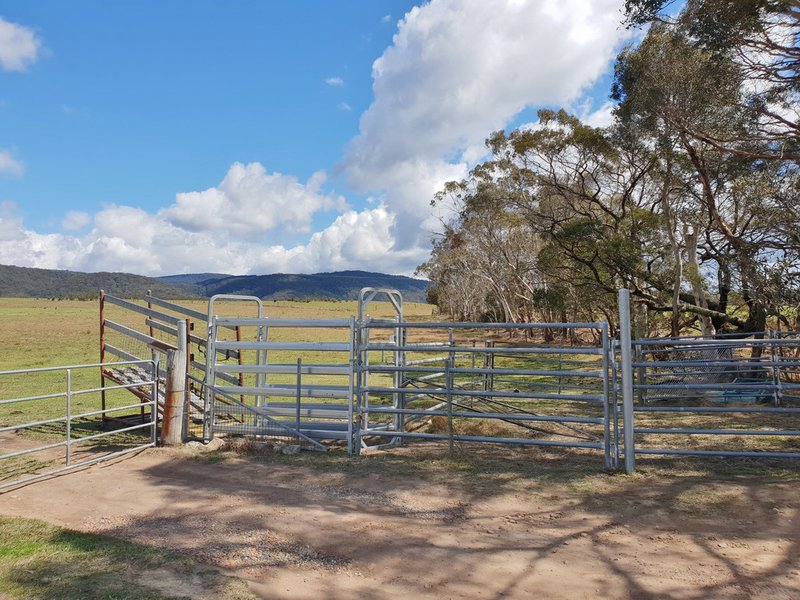 Photo - 111 Hereford Hall Road, Hereford Hall , Braidwood NSW 2622 - Image 16