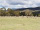 Photo - 111 Hereford Hall Road, Hereford Hall , Braidwood NSW 2622 - Image 17