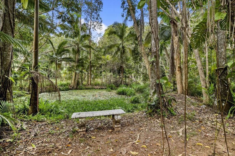 Photo - 111 Hunchy Road, Hunchy QLD 4555 - Image 18