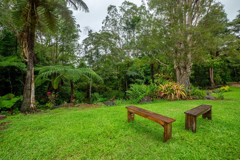 Photo - 111 Martin Road, Evelyn QLD 4888 - Image 7