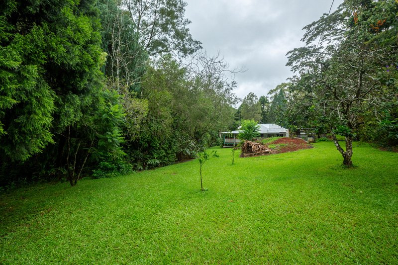 Photo - 111 Martin Road, Evelyn QLD 4888 - Image 22