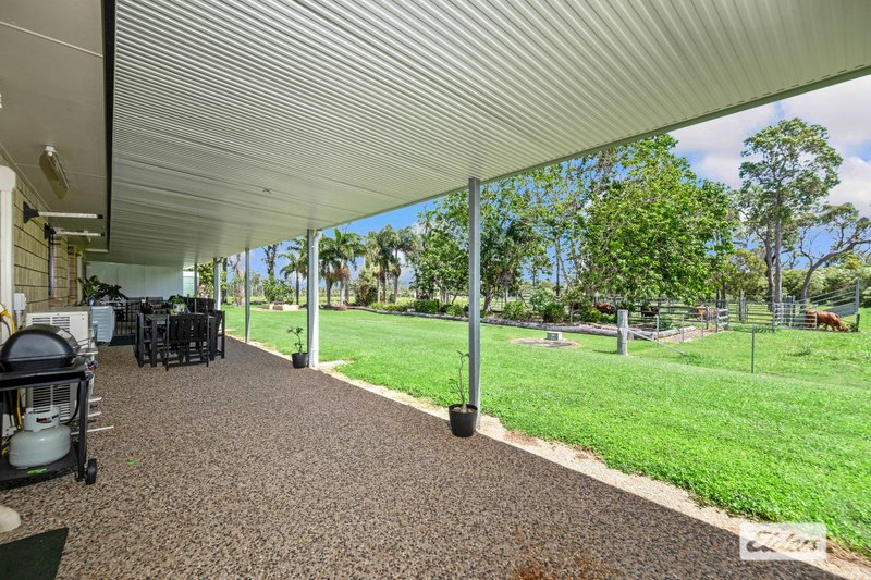 Photo - 111 Prestons Road, Adelaide Park QLD 4703 - Image 25