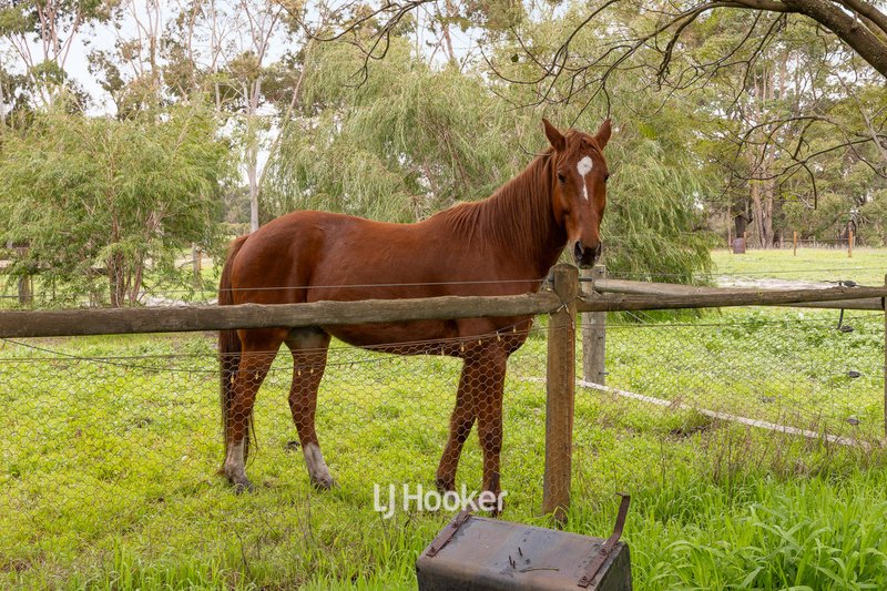 Photo - 111 Ryelands Drive, North Boyanup WA 6237 - Image 25