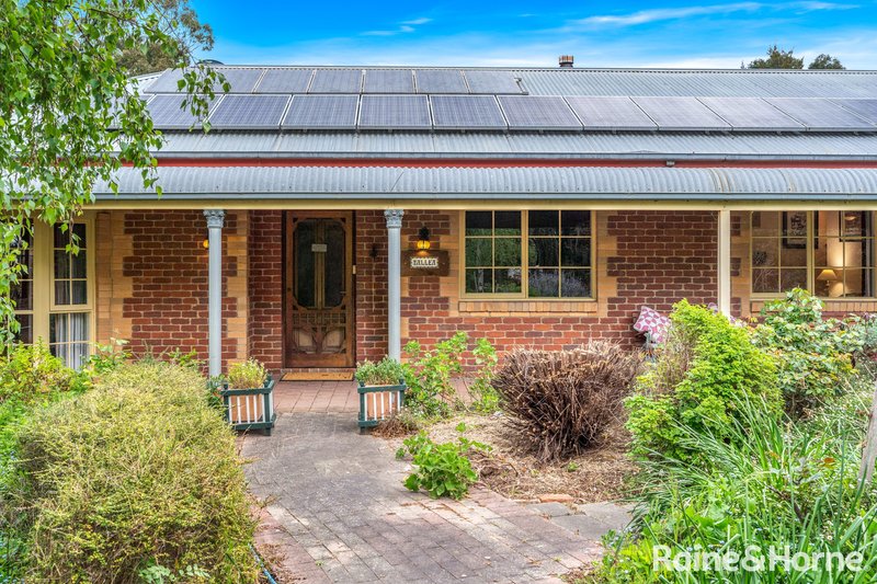 Photo - 111 Sandy Creek Road, Riddells Creek VIC 3431 - Image 2