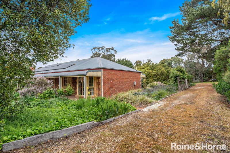 Photo - 111 Sandy Creek Road, Riddells Creek VIC 3431 - Image 3