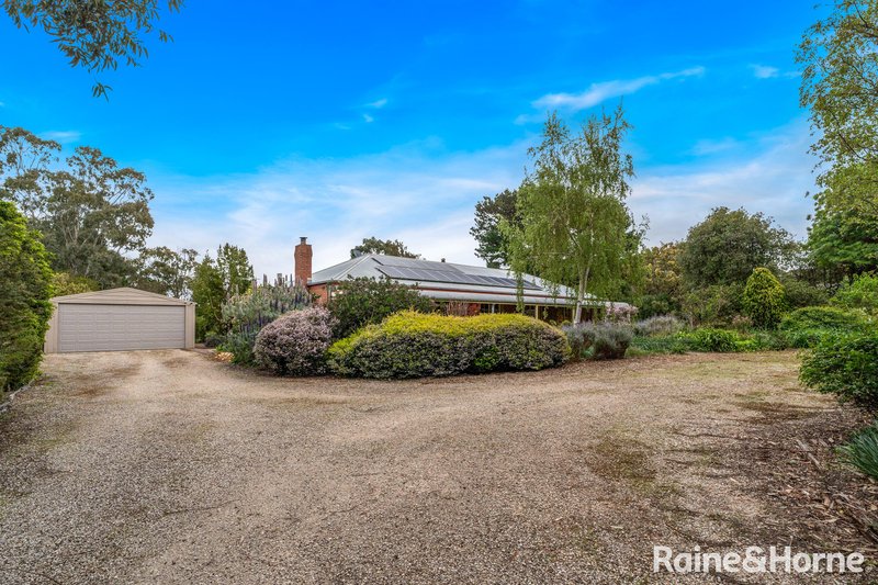 Photo - 111 Sandy Creek Road, Riddells Creek VIC 3431 - Image 4