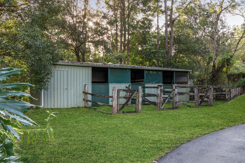 Photo - 111 Timbara Road, Pomona QLD 4568 - Image 11