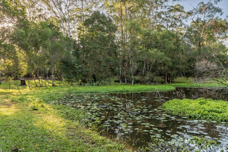 Photo - 111 Timbara Road, Pomona QLD 4568 - Image 12