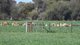 Photo - 111 Trigger Lane, Rochester VIC 3561 - Image 26