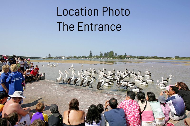 Photo - 1/11 Yamba Street, The Entrance NSW 2261 - Image 5