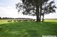 Photo - 1111 Greenwell Point Road, Pyree NSW 2540 - Image 5