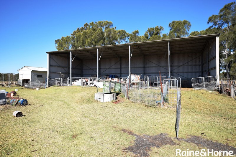 Photo - 1111 Greenwell Point Road, Pyree NSW 2540 - Image 11