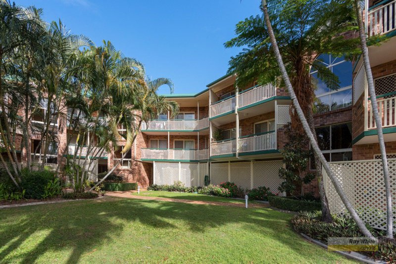 11/15 Childs Street, Clayfield QLD 4011