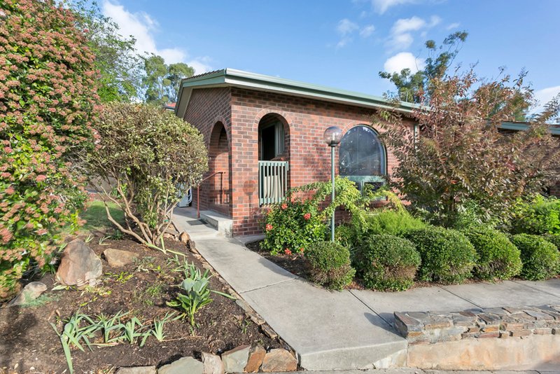 Photo - 1/12 Alton Avenue, Torrens Park SA 5062 - Image 11