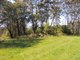 Photo - 112 Cussons Road, Denmark WA 6333 - Image 3