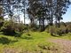 Photo - 112 Cussons Road, Denmark WA 6333 - Image 5