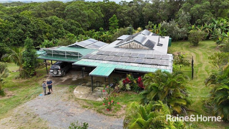 Photo - 112 George Road, Forest Creek , Daintree QLD 4873 - Image 30