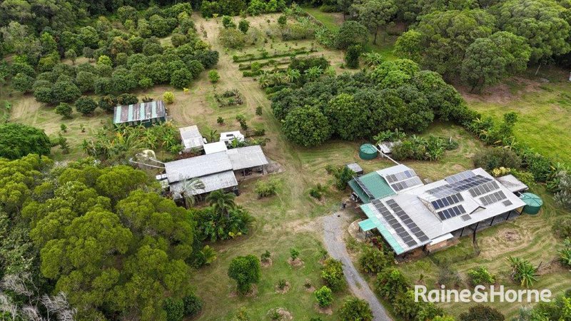 Photo - 112 George Road, Forest Creek , Daintree QLD 4873 - Image 31