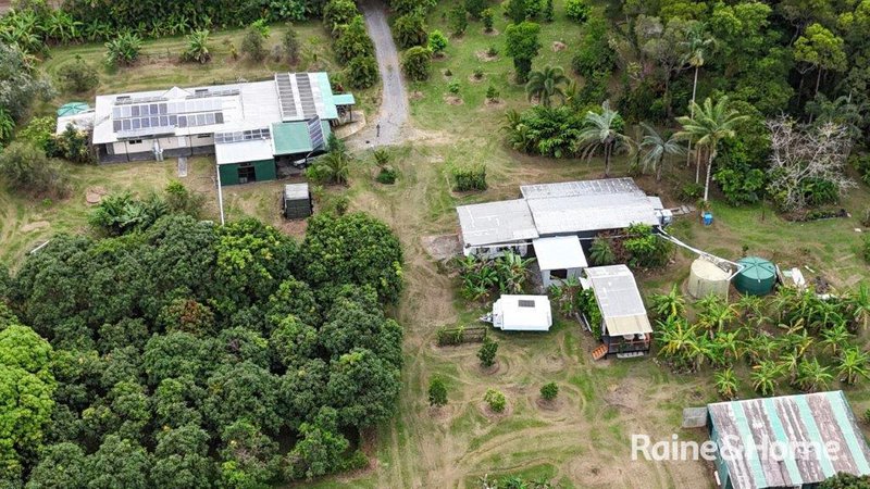 Photo - 112 George Road, Forest Creek , Daintree QLD 4873 - Image 32