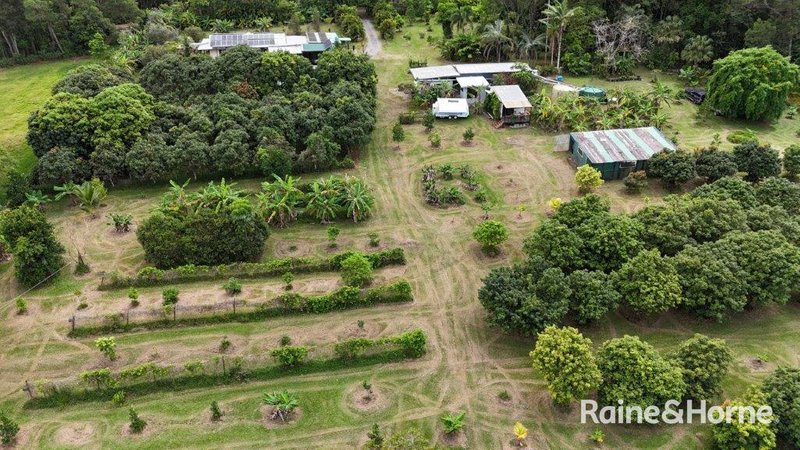 Photo - 112 George Road, Forest Creek , Daintree QLD 4873 - Image 33