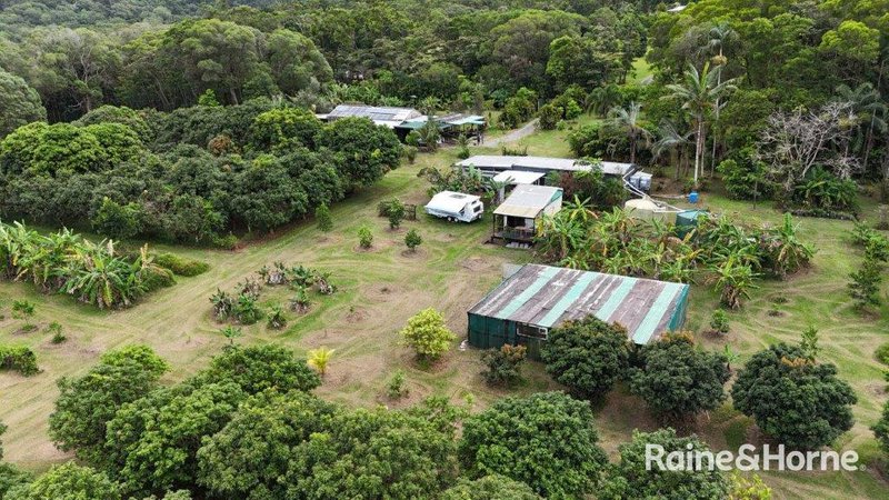 Photo - 112 George Road, Forest Creek , Daintree QLD 4873 - Image 34