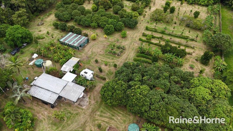 Photo - 112 George Road, Forest Creek , Daintree QLD 4873 - Image 35