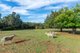 Photo - 112 Johnston Road, Nannup WA 6275 - Image 22