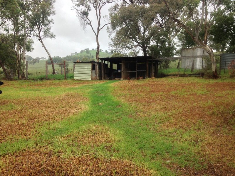 Photo - 112 Norris Lane, Gulgong NSW 2852 - Image 9