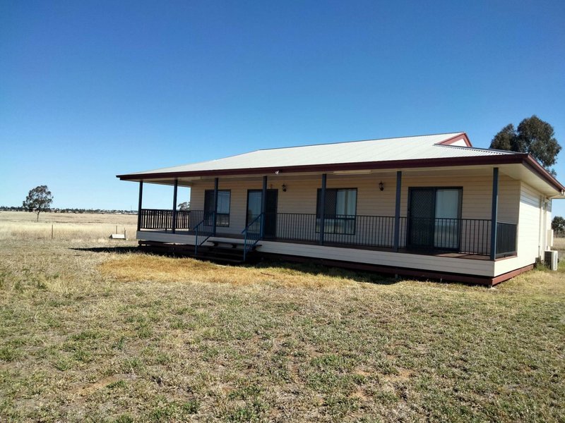 Photo - 112 Ona Ona Road, Roma QLD 4455 - Image 20