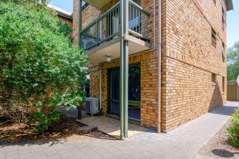 Photo - 11/22 Cambridge Street, North Adelaide SA 5006 - Image 10