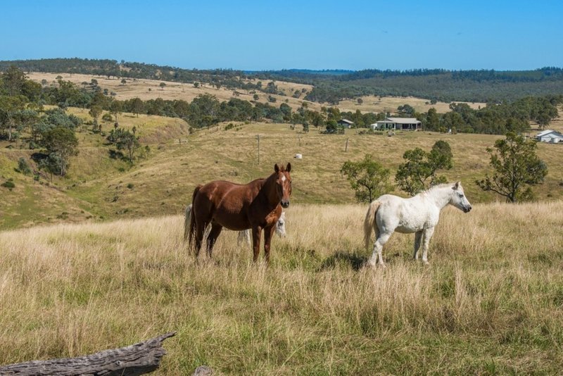 Photo - 11242 D'Aguilar Highway, Blackbutt QLD 4306 - Image 13